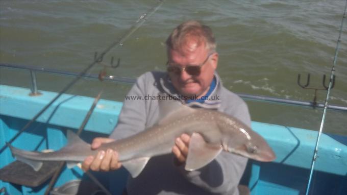 8 lb Smooth-hound by Paul