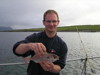 1 Kg Red Sea Bream by Unknown