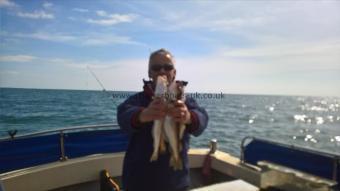 2 lb 8 oz Whiting by Stephen Wake