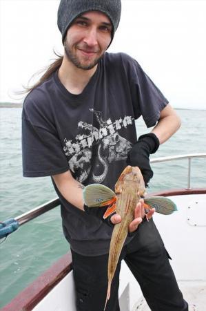 2 lb Tub Gurnard by Sean