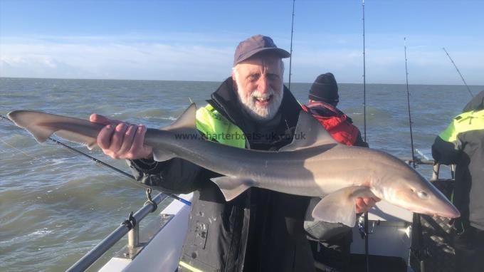 1 oz Smooth-hound by Unknown