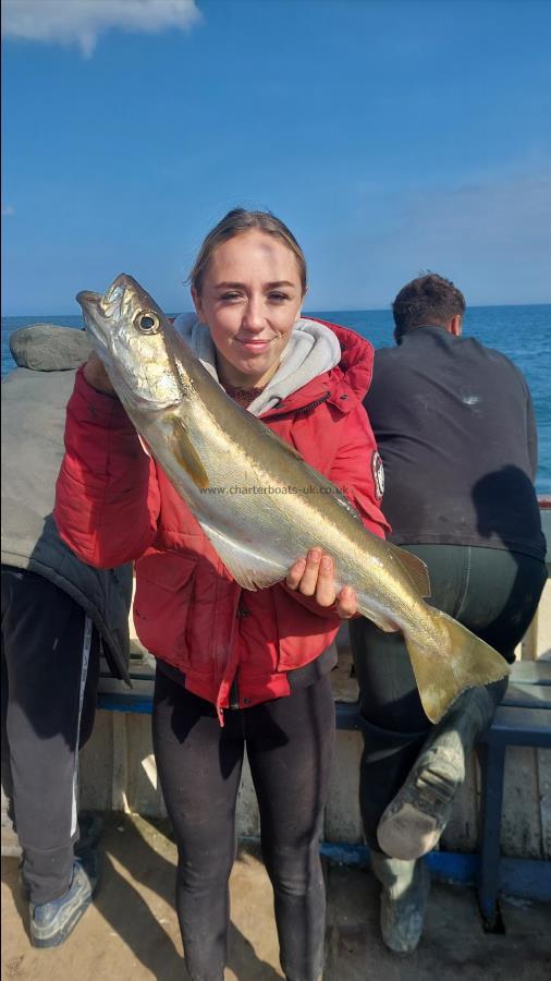 5 lb 1 oz Pollock by Unknown