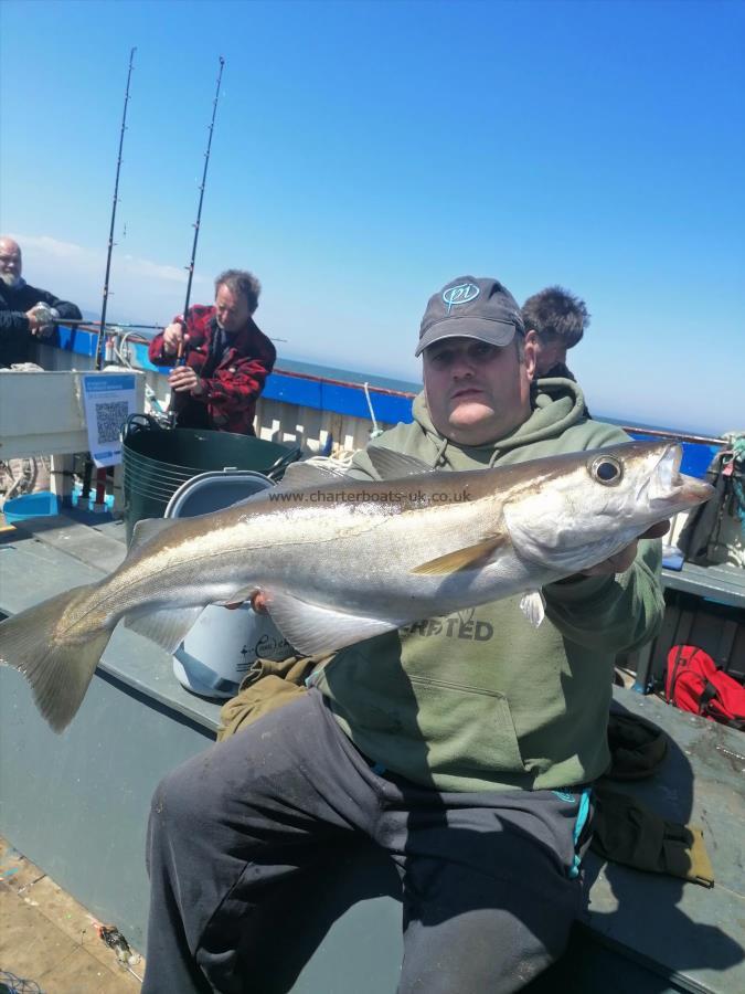 7 lb 3 oz Pollock by Dave laken