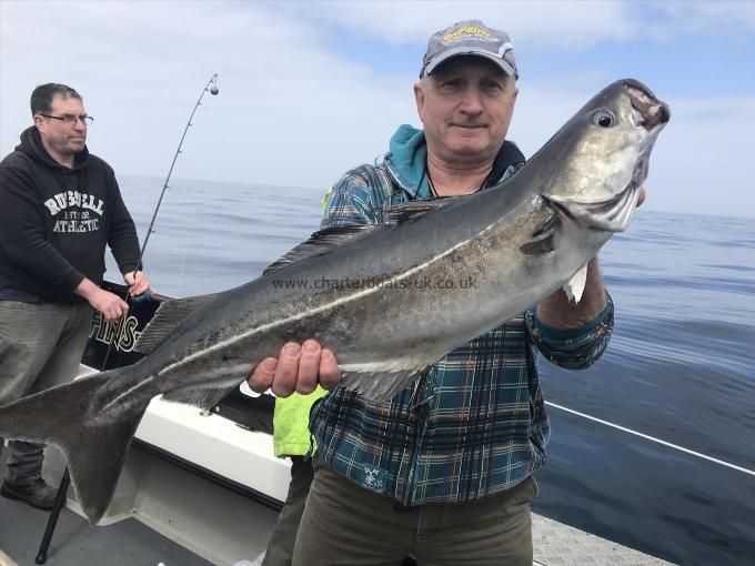 11 lb 4 oz Coalfish (Coley/Saithe) by Unknown