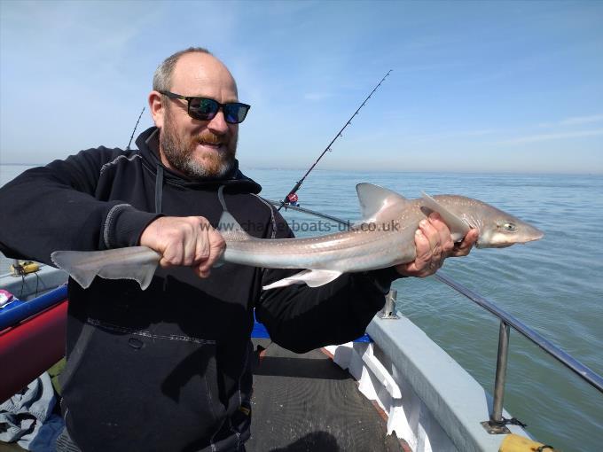 4 lb Starry Smooth-hound by Colin