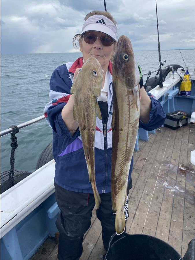 8 lb Ling by Chrissie from hull ling and cod