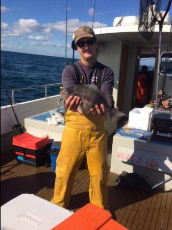 3 lb 14 oz Black Sea Bream by Lewis Hodder