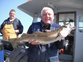 7 lb 8 oz Pollock by Dave