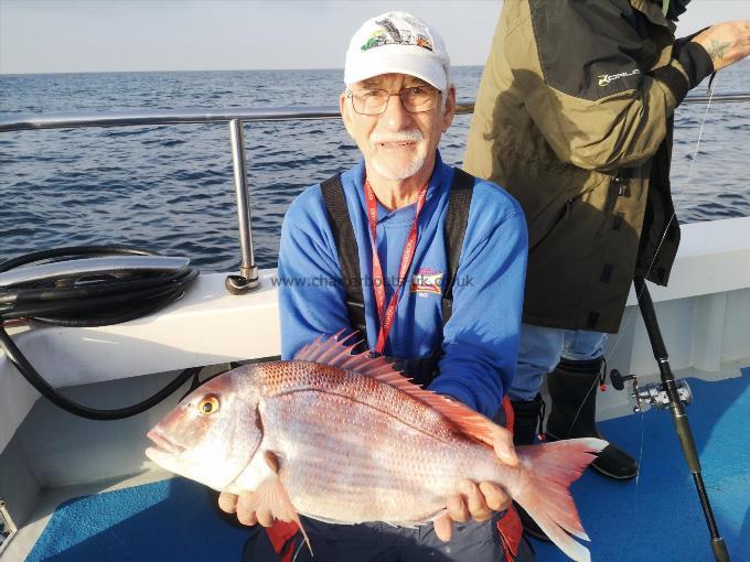 6 lb Couch's Sea Bream by Unknown