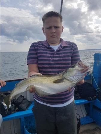 7 lb 8 oz Pollock by Unknown