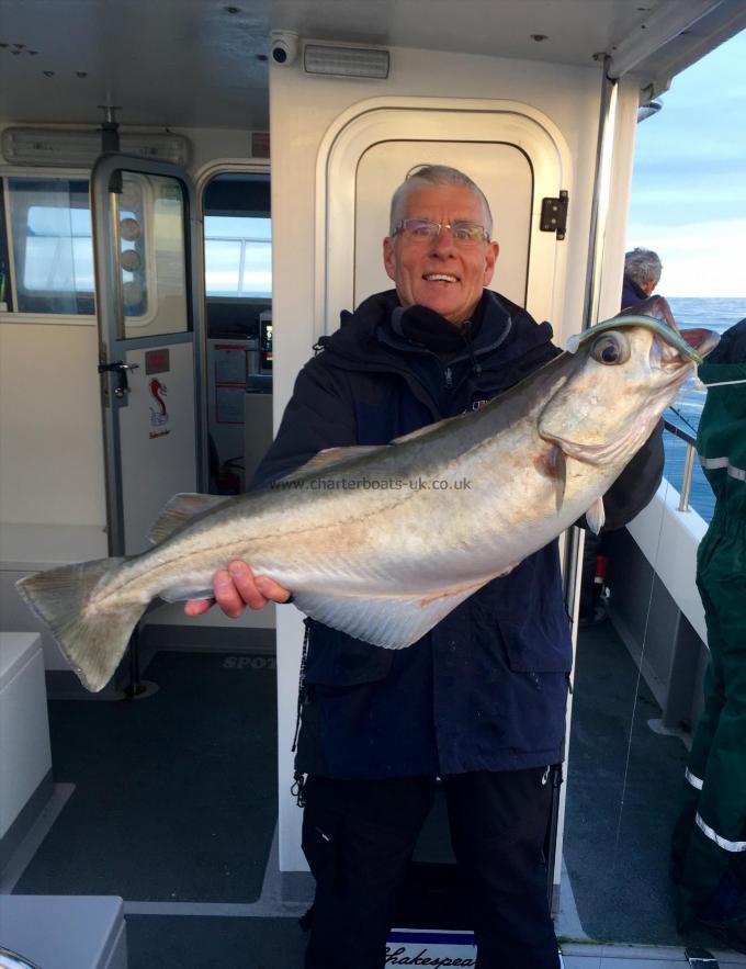 17 lb 8 oz Pollock by Terry