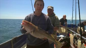 7 lb Cod by Stephen Wake