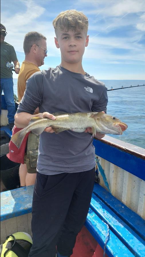 4 lb Cod by Unknown