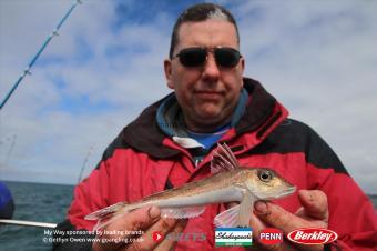 12 oz Grey Gurnard by Ian