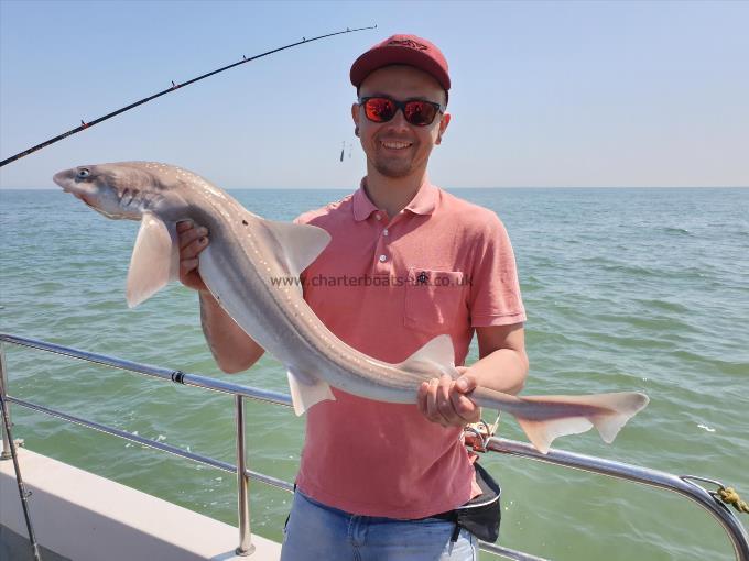 9 lb 12 oz Starry Smooth-hound by Bob Marshall