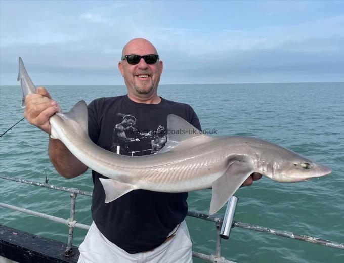 13 lb Smooth-hound by Unknown