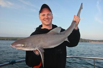 14 lb Starry Smooth-hound by Gav Deli