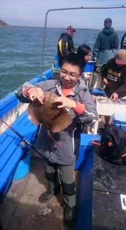 2 lb 8 oz Blonde Ray by Unknown