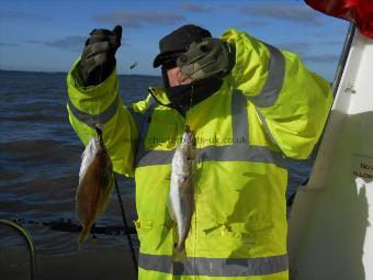 1 lb Whiting by Dave Mingay
