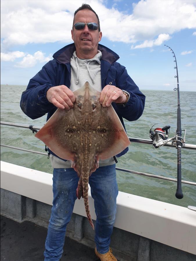 7 lb Thornback Ray by Bob Marshall