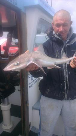 7 lb 4 oz Starry Smooth-hound by simon