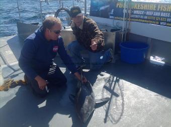 85 lb Porbeagle by Unknown