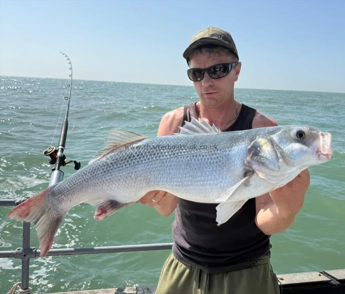 6 lb Bass by Unknown