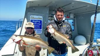 9 lb 2 oz Pollock by Unknown