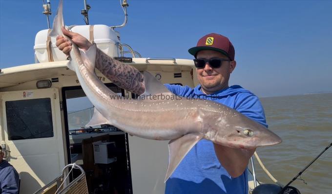15 lb Starry Smooth-hound by Nick