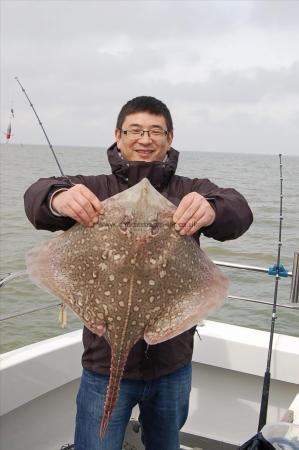 12 lb 10 oz Thornback Ray by Unknown