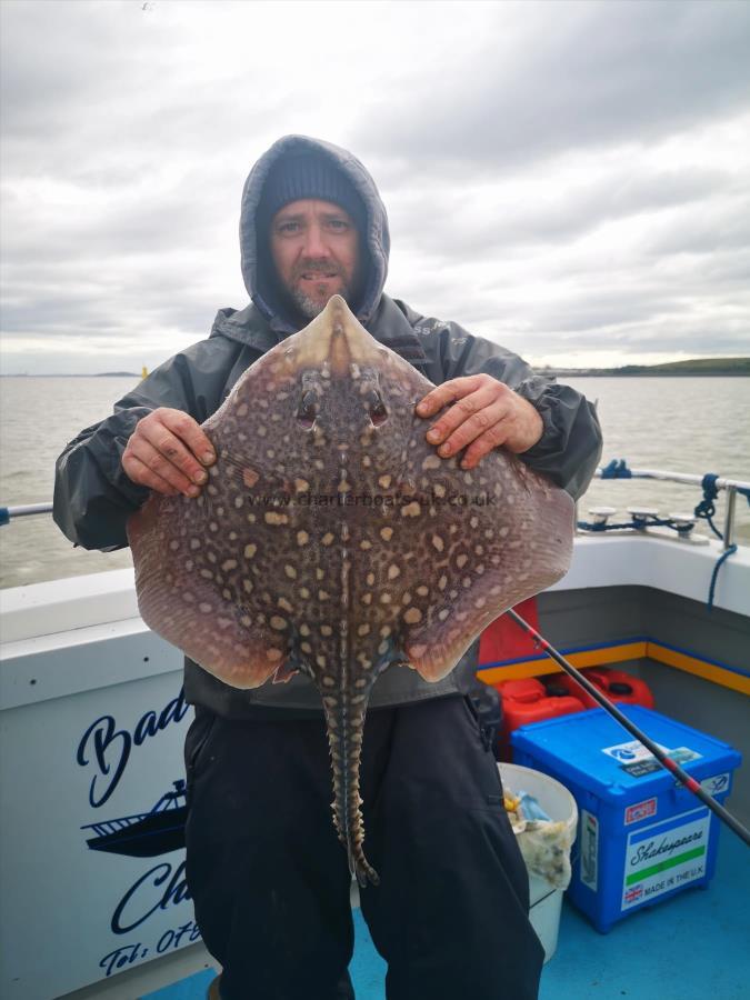 8 lb Thornback Ray by Unknown