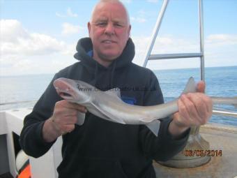 3 lb Smooth-hound (Common) by Tommy