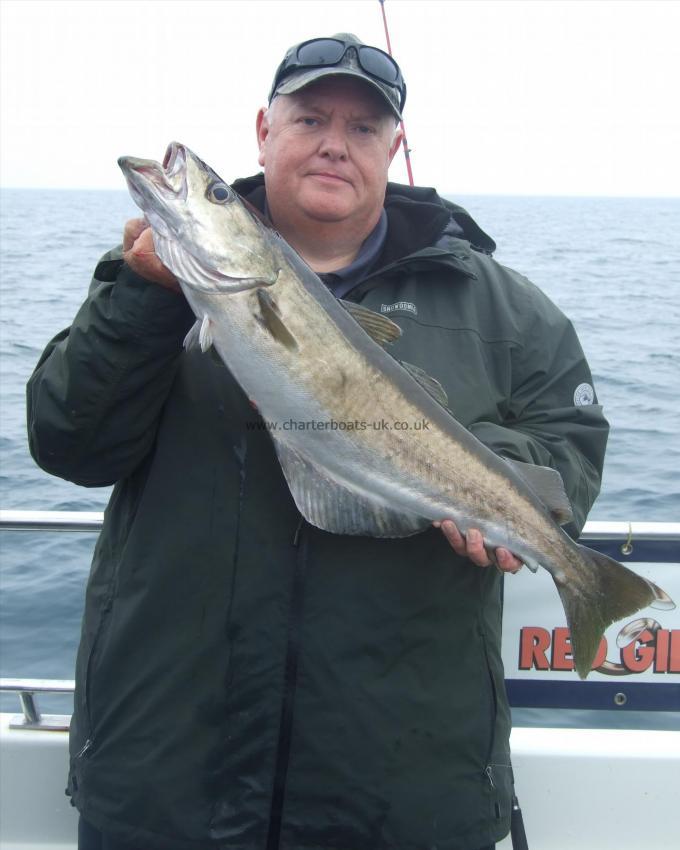 11 lb Pollock by Paul Milkins