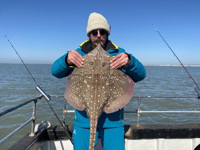 11 lb Thornback Ray by Unknown