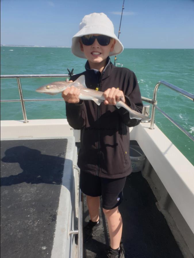 1 lb Starry Smooth-hound by Bob Marshall