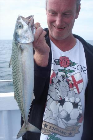 2 lb 6 oz Mackerel by Skeggie