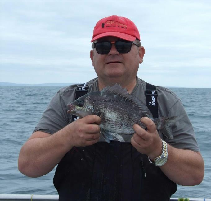 2 lb Black Sea Bream by Stephan Attwood