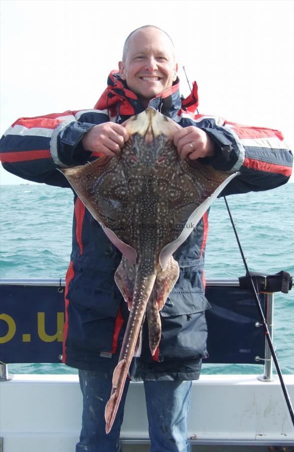 13 lb Undulate Ray by Phil Harrison