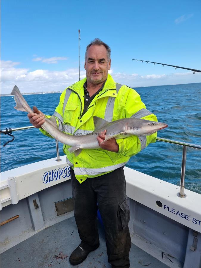 10 lb 6 oz Smooth-hound by Unknown