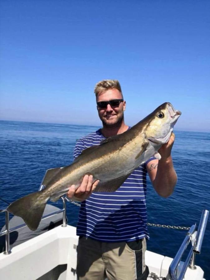 10 lb 8 oz Pollock by Jason Williams