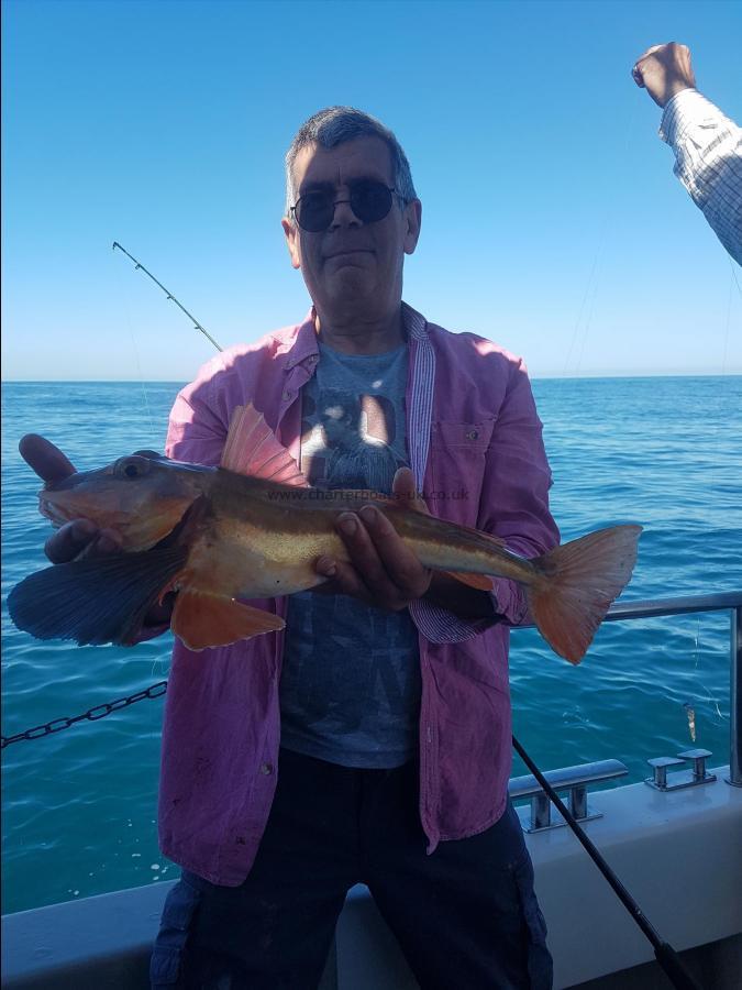 4 lb Tub Gurnard by Mig