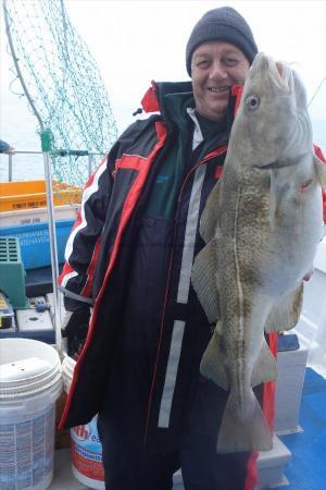 19 lb Cod by Panto