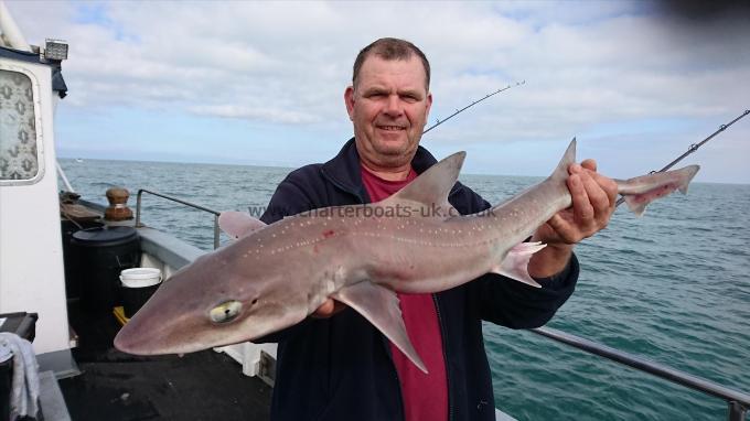 10 lb 5 oz Smooth-hound (Common) by Dave from Kent