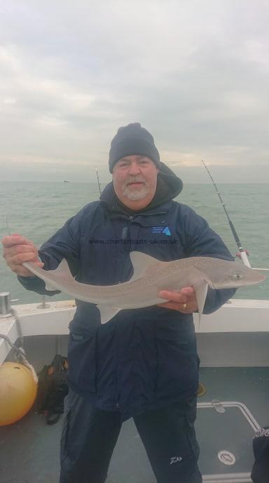 6 lb 5 oz Smooth-hound (Common) by Mark
