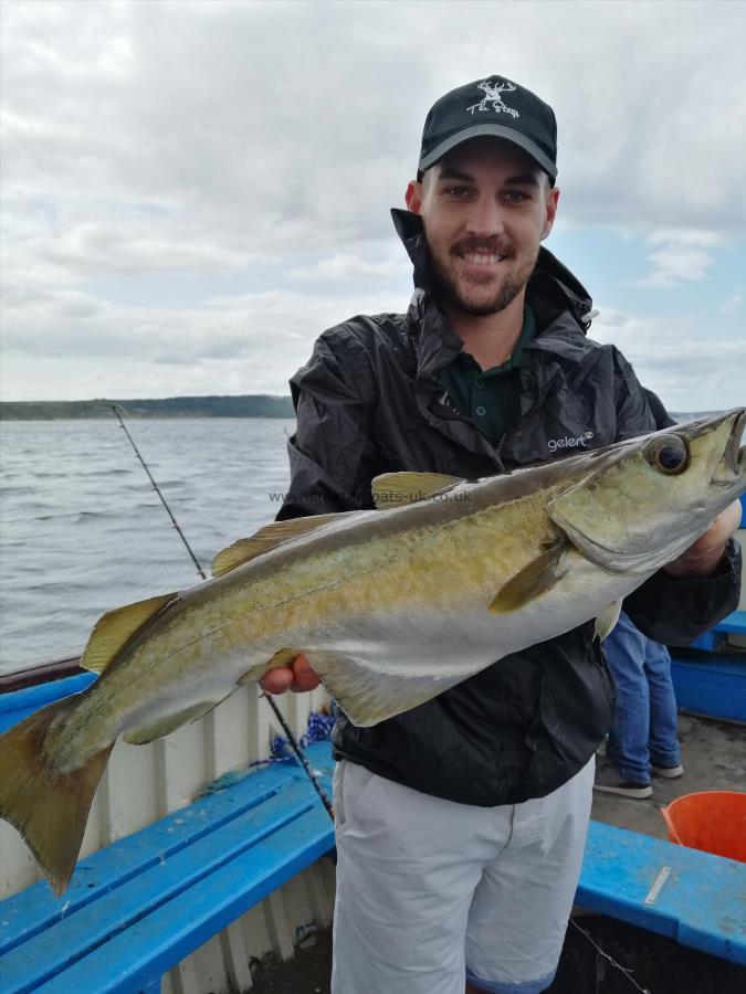 6 lb Pollock by Unknown