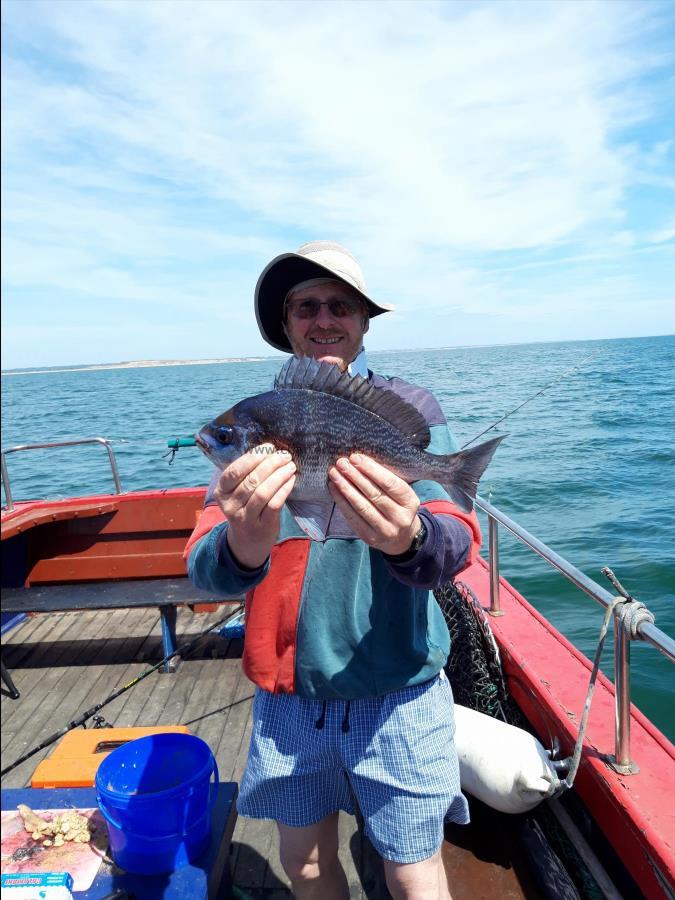 2 lb 12 oz Black Sea Bream by Malcolm Paine