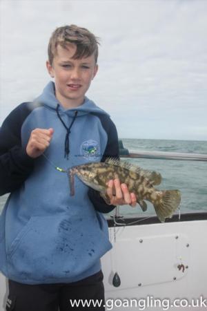 2 lb Ballan Wrasse by Luke