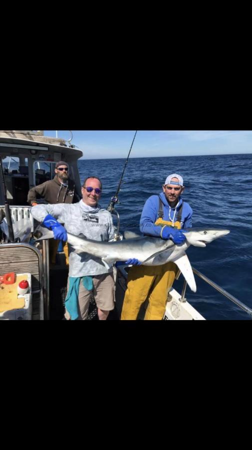 90 lb 12 oz Blue Shark by Stuart