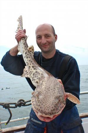 12 lb Bull Huss by Pete Minns