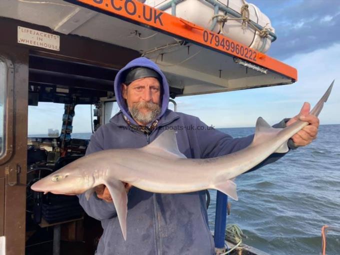 9 lb Smooth-hound (Common) by Unknown